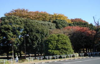 kogane_park.JPG