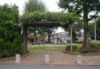 midori3_park.JPG