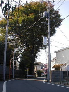 tachiki_3.JPG